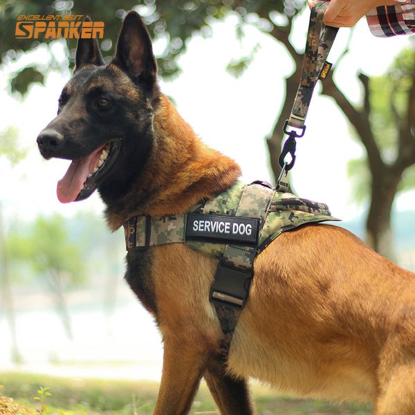 medium and large dog k9 chest strap tactical dog clothes golden maud collier clothes pet supplies
medium and large dog k9 chest strap tactical dog clothes golden maud collier clothes pet supplies
