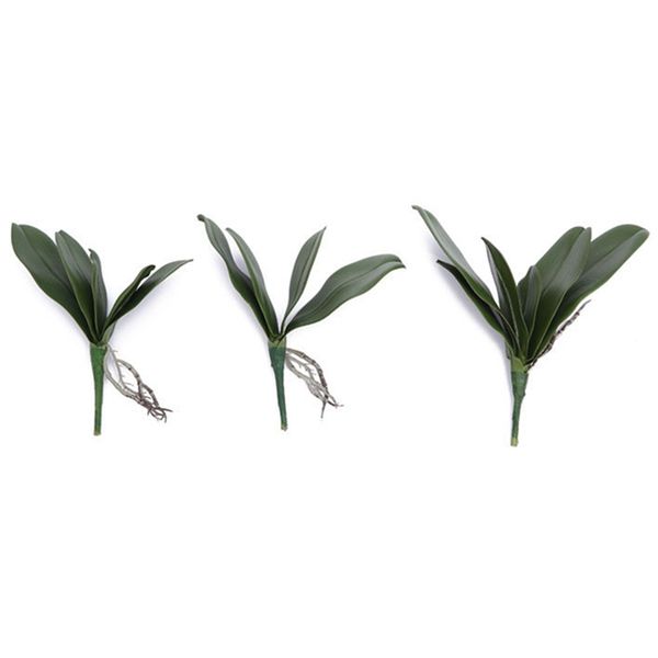 1pcs phalaenopsis leaf artificial plant leaf decorative flowers auxiliary material flower decoration orchid leaves real touch
1pcs phalaenopsis leaf artificial plant leaf decorative flowers auxiliary material flower decoration orchid leaves real touch