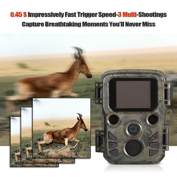 wildlife 12mp 1080p мини-trail фото trap охота камера охота игра камера открытого wildlife скаутинг камера с ик датчик
wildlife 12mp 1080p мини-trail фото trap охота камера охота игра камера открытого wildlife скаутинг камера с ик датчик