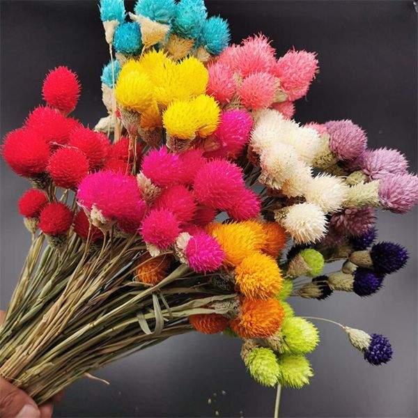 100% natural true dried globe amaranth flowers wedding party decoration home garden decor dreaming flowers
100% natural true dried globe amaranth flowers wedding party decoration home garden decor dreaming flowers