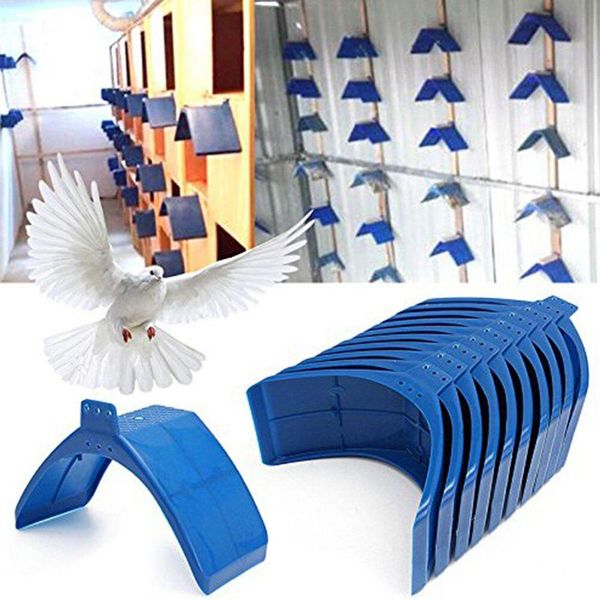 20pcs pigeon rest stand frame dwelling supplies frame perches birds roost set bird stand holder supplies home decor
20pcs pigeon rest stand frame dwelling supplies frame perches birds roost set bird stand holder supplies home decor