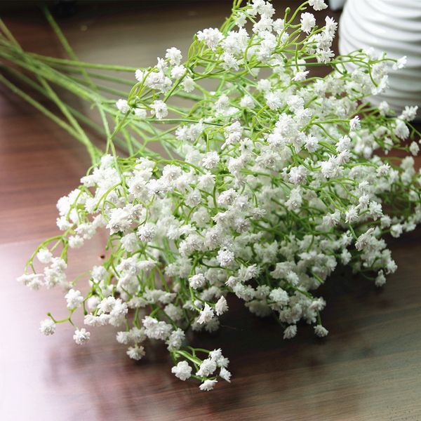 artificial flowers white stars artificial flowers plastic flower heads wedding pgraphy background corsage flower arrangement
artificial flowers white stars artificial flowers plastic flower heads wedding pgraphy background corsage flower arrangement