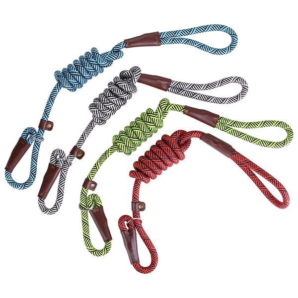 1.5m p chain large dog leash slip collar pet walking lead adjustable dog rope nylon pet traction line for medium big dogs
1.5m p chain large dog leash slip collar pet walking lead adjustable dog rope nylon pet traction line for medium big dogs