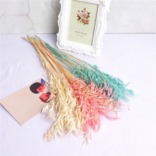 50-60cm 1 lot natural dried oats flowers for wedding party decoration diy craft scrapbook home decor oats bouquet p props
50-60cm 1 lot natural dried oats flowers for wedding party decoration diy craft scrapbook home decor oats bouquet p props