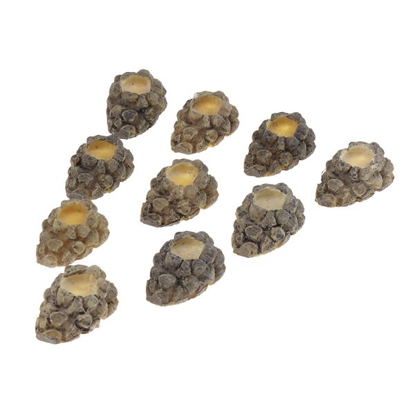 10 шт mini рептилия скрытие cave reptile воды контейнер еды reptile укрытий, ящерица, паук и аквариумных рыб скрыть cave
10 шт mini рептилия скрытие cave reptile воды контейнер еды reptile укрытий, ящерица, паук и аквариумных рыб скрыть cave