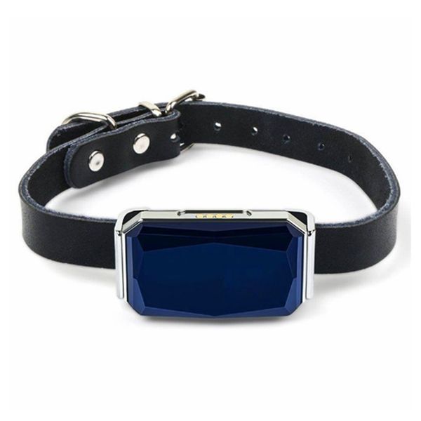 smallest pet gps agps lbs wifi tracking tracker collar for dog cat geo-fence track device fee app
smallest pet gps agps lbs wifi tracking tracker collar for dog cat geo-fence track device fee app