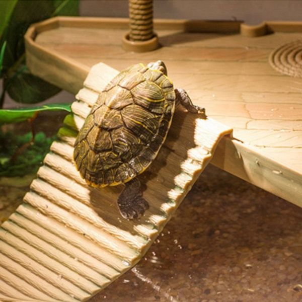 aquarium ornaments reptile turtle frog pier floating basking platform aquarium tank decor amphibian leisure table decor
aquarium ornaments reptile turtle frog pier floating basking platform aquarium tank decor amphibian leisure table decor