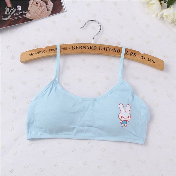 1pcs women cotton padded bra blouses vest young girls student vest underwear shoulder strap bras tank, Black;white
1pcs women cotton padded bra blouses vest young girls student vest underwear shoulder strap bras tank, Black;white