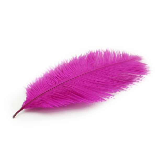 100pcs/lot multicolor natural hard rod 15cm-20cm/6-8 inch ostrich feathers wedding birthday party christmas decorations
100pcs/lot multicolor natural hard rod 15cm-20cm/6-8 inch ostrich feathers wedding birthday party christmas decorations