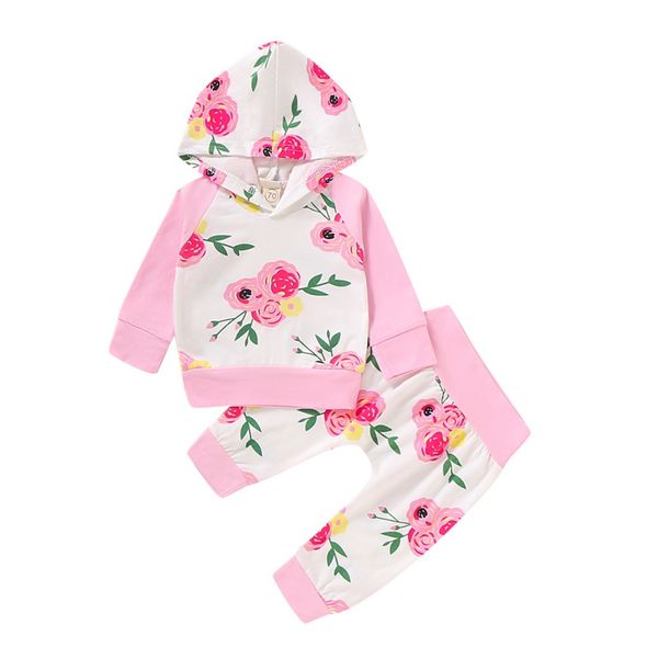 spring autumn kids clothes new cotton baby clothes girls boys floral hooded t-shirt pants 2pcs children casual tracksuits, White
spring autumn kids clothes new cotton baby clothes girls boys floral hooded t-shirt pants 2pcs children casual tracksuits, White