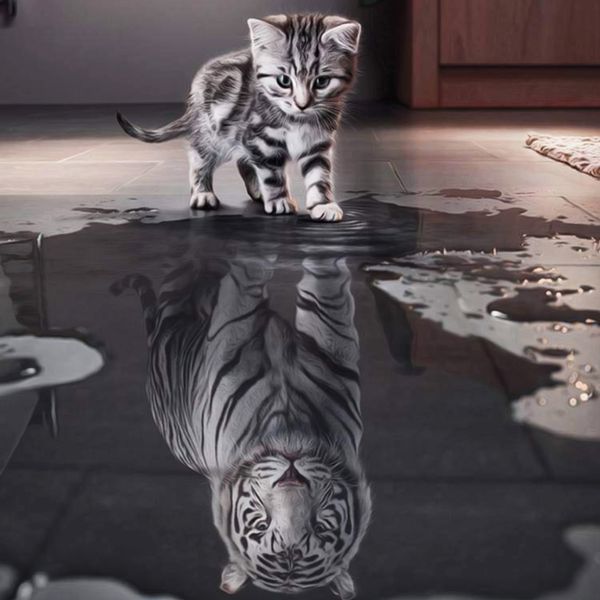 5d diy diamond painting animals of cat to tiger home decoration wall painting of diamond mosaic embroidery painting
5d diy diamond painting animals of cat to tiger home decoration wall painting of diamond mosaic embroidery painting