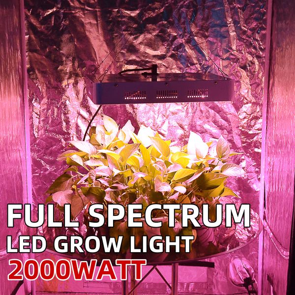 double switch led grow lights 3000w 2000w 1000w 600w full spectrum with veg and bloom model for indoor greenhouse grow tent eu +au+uk+us
double switch led grow lights 3000w 2000w 1000w 600w full spectrum with veg and bloom model for indoor greenhouse grow tent eu +au+uk+us