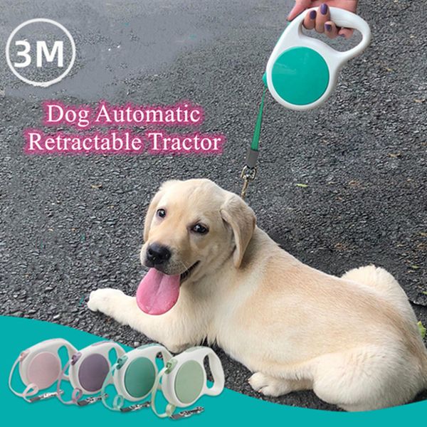 isafecare dog collars leashes chain leash portable dog supplies automatic retractable dog leashes rope walking extending roles puppy 0107
isafecare dog collars leashes chain leash portable dog supplies automatic retractable dog leashes rope walking extending roles puppy 0107
