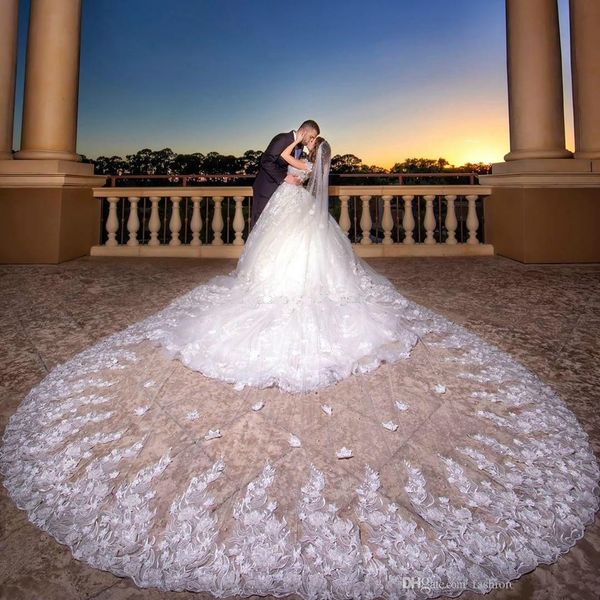 luxury 4m long wedding veils cathedral length one layer appliqued tulle bridal veil for women with comb, Black
luxury 4m long wedding veils cathedral length one layer appliqued tulle bridal veil for women with comb, Black