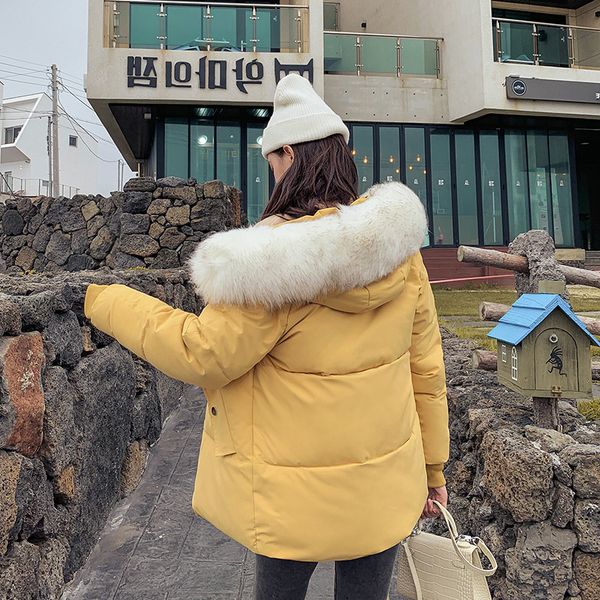 short cotton coat women's loose-fit bf large fur collar cotton-padded clothes 2019 new style winter fashion down jacket cotton-p, Blue;black
short cotton coat women's loose-fit bf large fur collar cotton-padded clothes 2019 new style winter fashion down jacket cotton-p, Blue;black