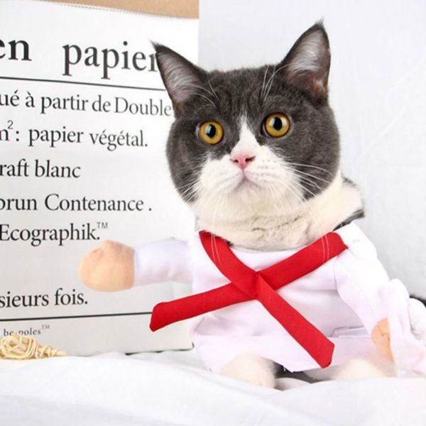 горячие продажи смешно мода pet dog cat одежда костюм платье доктор полицейский ковбой костюм экипировка хлопок одежда для собак оптовая цен
горячие продажи смешно мода pet dog cat одежда костюм платье доктор полицейский ковбой костюм экипировка хлопок одежда для собак оптовая цен