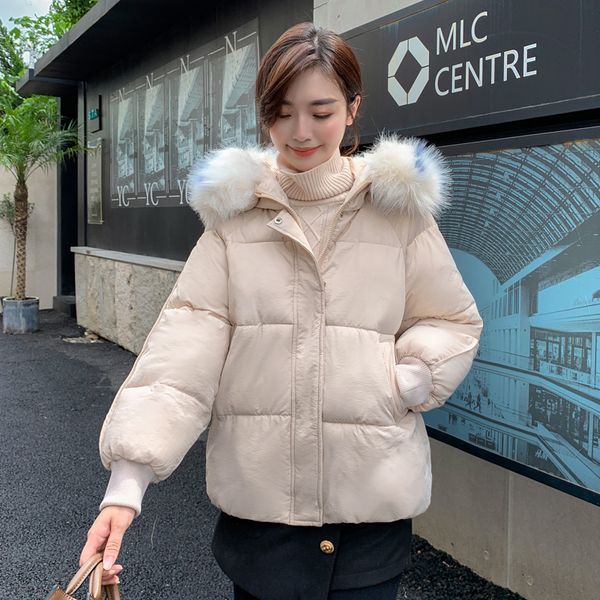 women's down & parkas 2021 large size short jacket female bread service parka hooded with fur collar autumn warm cotton stand-up coat, Black
women's down & parkas 2021 large size short jacket female bread service parka hooded with fur collar autumn warm cotton stand-up coat, Black