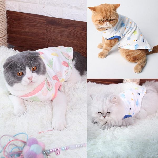 casual cat kitten spring autumn fruit print soft cotton vest t-shirt pet clothes #04
casual cat kitten spring autumn fruit print soft cotton vest t-shirt pet clothes #04