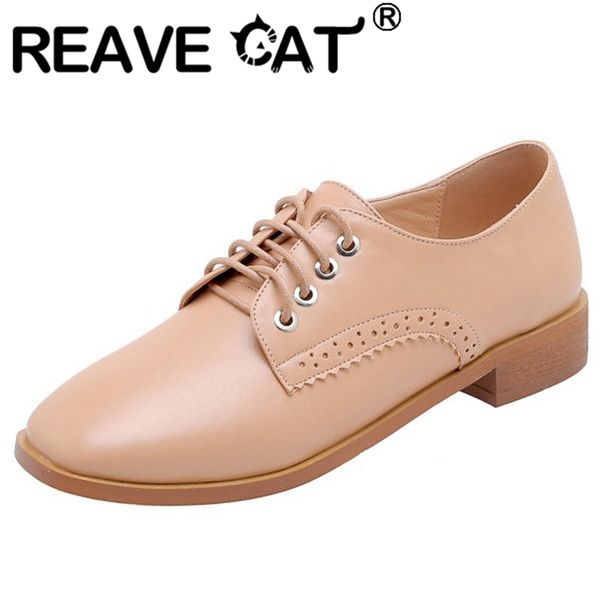 reave cat concise spring autumn woman flats square toe 2cm square heel lace up patent leather big size 30-45 leisure date a3071, Black
reave cat concise spring autumn woman flats square toe 2cm square heel lace up patent leather big size 30-45 leisure date a3071, Black
