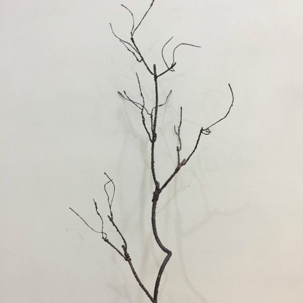 artificial rattan withered branches home decoration artificial trees for home decor faux plants 2-color optional
artificial rattan withered branches home decoration artificial trees for home decor faux plants 2-color optional