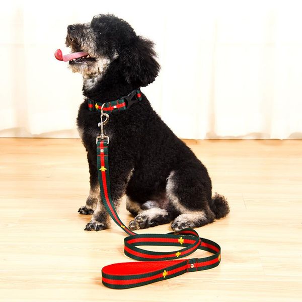 вышивка животных ошейник collar мигалки безопасности pet поводки способа teddy шнауцеры ремни регулируемый ремень жилет воротник автомобилей
вышивка животных ошейник collar мигалки безопасности pet поводки способа teddy шнауцеры ремни регулируемый ремень жилет воротник автомобилей