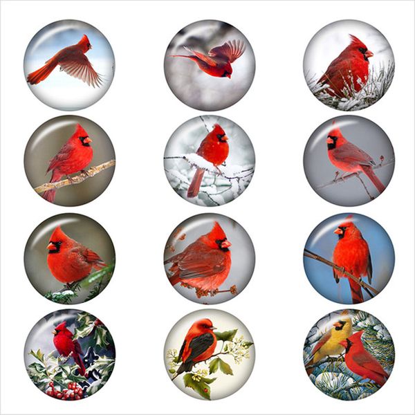 50pcs mixed cardinal christmas bird pattern snap button round p glass snap button jewelry, Bronze;silver
50pcs mixed cardinal christmas bird pattern snap button round p glass snap button jewelry, Bronze;silver