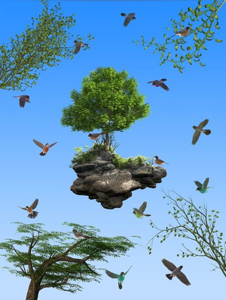 modern 3d p wallpaper bird paradise sky wall papers home interior decor living room ceiling lobby mural wallpaper
modern 3d p wallpaper bird paradise sky wall papers home interior decor living room ceiling lobby mural wallpaper