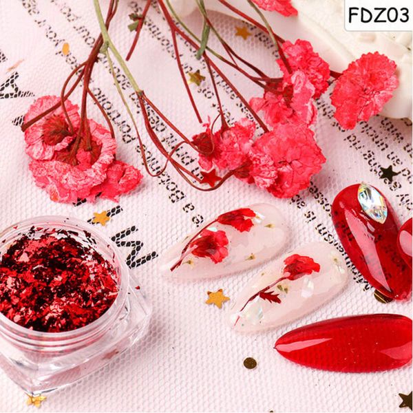 1pack dried flowers nails glitter dust set natural floral 3d decoration design red blue charms art nail accessories cfdz0, Silver;gold
1pack dried flowers nails glitter dust set natural floral 3d decoration design red blue charms art nail accessories cfdz0, Silver;gold
