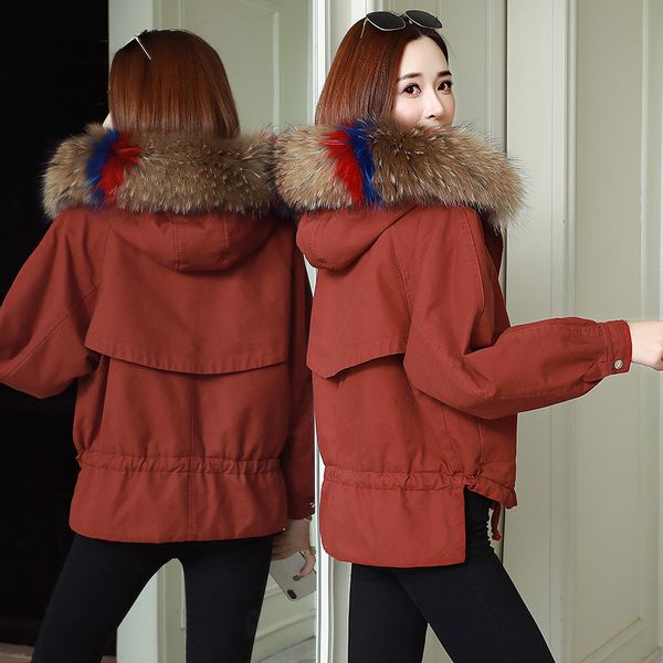 2019 winter new style women's dress korean-style slimming short small cotton-padded clothes cotton coat cotton-padded jacket cot, Blue;black
2019 winter new style women's dress korean-style slimming short small cotton-padded clothes cotton coat cotton-padded jacket cot, Blue;black