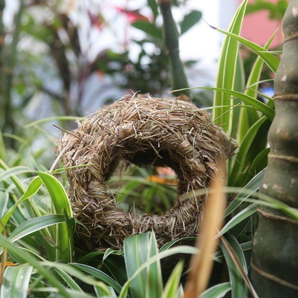 handmade woven straw bird nest cage birdhouse bed house for parrot pigeon swallow small pet
handmade woven straw bird nest cage birdhouse bed house for parrot pigeon swallow small pet