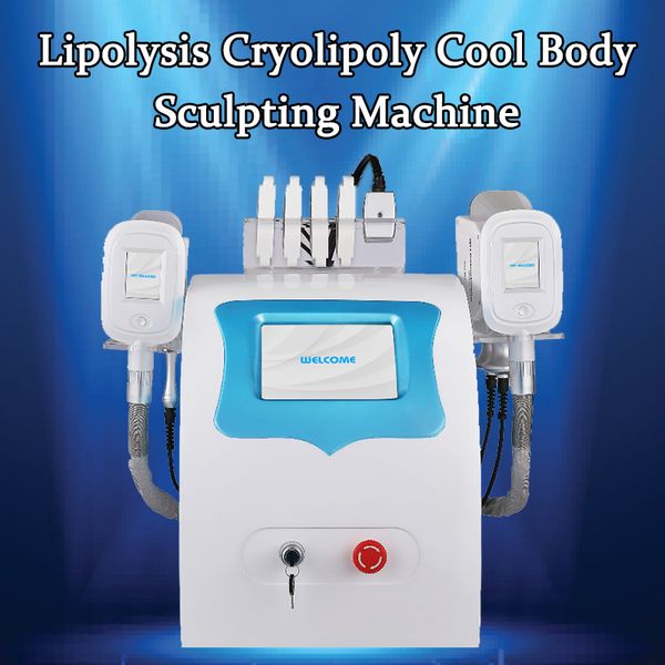 portable cellulite machine cryolipolysis machine 2 handles cryolipolysis machine beauty salon equipment
portable cellulite machine cryolipolysis machine 2 handles cryolipolysis machine beauty salon equipment