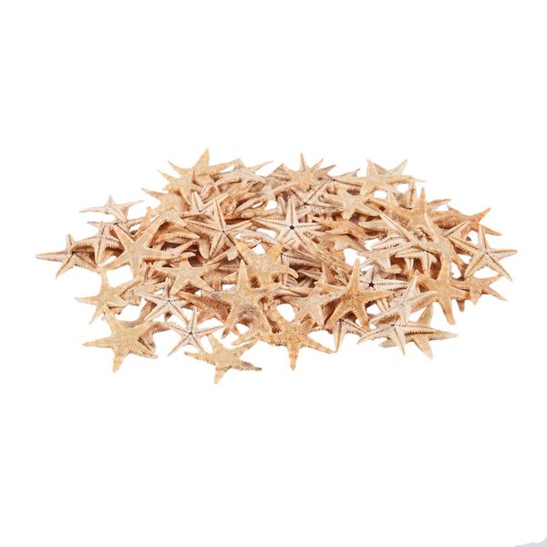small starfish star sea shell beach craft 0.4 inch-1.2 inch 90 pcs
small starfish star sea shell beach craft 0.4 inch-1.2 inch 90 pcs