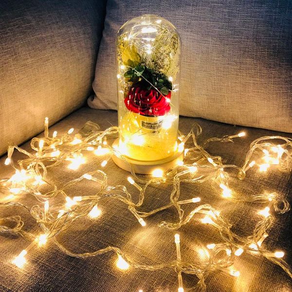 20led rose flowers fairy string light wooden base glass dome night lamp valentine wedding birthday party ornament
20led rose flowers fairy string light wooden base glass dome night lamp valentine wedding birthday party ornament