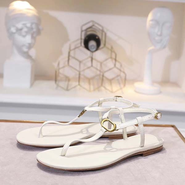 2020 latest luxurious women metal buckle leather sandal striking gladiator style designers leather outsole perfect flat plain sandal, Black
2020 latest luxurious women metal buckle leather sandal striking gladiator style designers leather outsole perfect flat plain sandal, Black