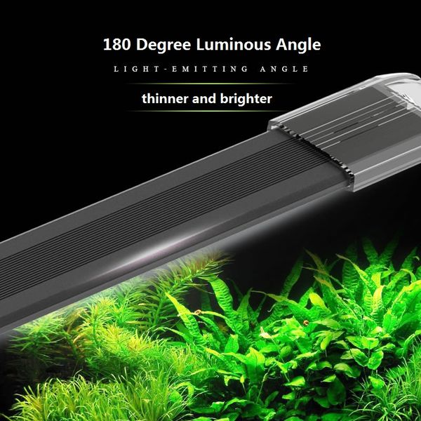special for water grass anubias barteri fish tank lamp matte black waterproof aquarium led bracket light
special for water grass anubias barteri fish tank lamp matte black waterproof aquarium led bracket light