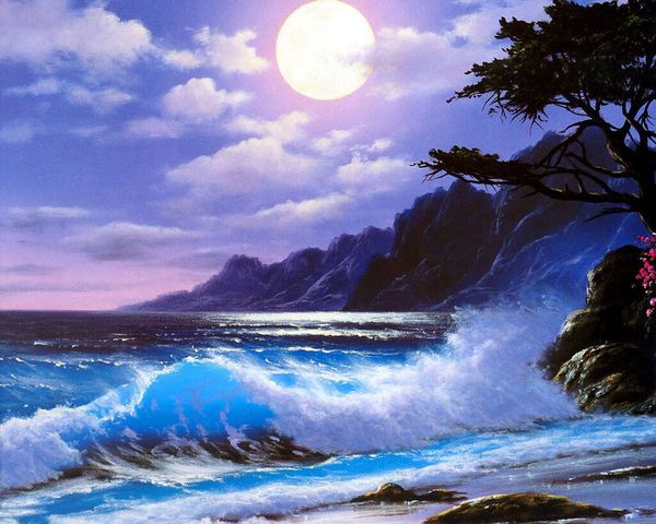 moonlight on the coast home decor handcrafts /hd print oil painting on canvas wall art canvas pictures 200718
moonlight on the coast home decor handcrafts /hd print oil painting on canvas wall art canvas pictures 200718