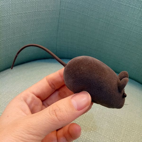 cat toy pet model mouse casual interactive teaser kitten supplies other cat supplies
cat toy pet model mouse casual interactive teaser kitten supplies other cat supplies