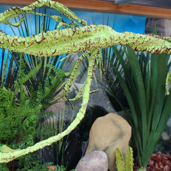 pet habitat decor reptile simulated rattan rainforest collapsible decoration for lizards frogs snakes reptile box decoration new
pet habitat decor reptile simulated rattan rainforest collapsible decoration for lizards frogs snakes reptile box decoration new