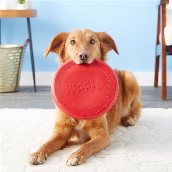 kong classic flyer dog toy s/l dog training obedience 
kong classic flyer dog toy s/l dog training obedience