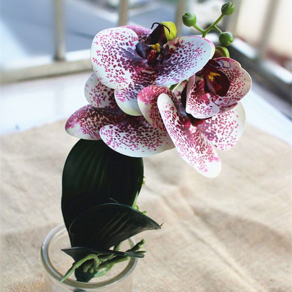 short orchid branch with leaves plastic artificial flowers butterfly orchid for home table decoration orchids
short orchid branch with leaves plastic artificial flowers butterfly orchid for home table decoration orchids