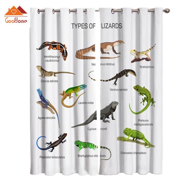 type of lizard window curtains living room outdoor fabric drapes curtain home decor
type of lizard window curtains living room outdoor fabric drapes curtain home decor