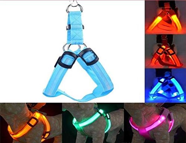 pet dog led harness pet front vest for small medium large dogs chest harness perfect for daily training walking running
pet dog led harness pet front vest for small medium large dogs chest harness perfect for daily training walking running