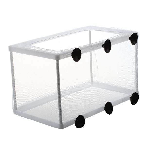 fish tank plastic frame white net fry hatchery breeder with suction cups other aquarium fish
fish tank plastic frame white net fry hatchery breeder with suction cups other aquarium fish