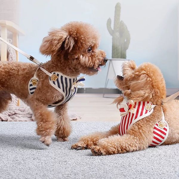 retro stripe pet dog vest harnesses mesh dog harness leash set for small dogs yorkshire shih tzu leads puppy chain pets products
retro stripe pet dog vest harnesses mesh dog harness leash set for small dogs yorkshire shih tzu leads puppy chain pets products