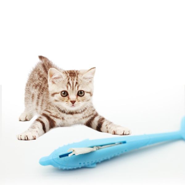 lovely cat toothbrush food grade silicone cats molar rod fish shaped pet toys fit indoor room playing 14tt e1
lovely cat toothbrush food grade silicone cats molar rod fish shaped pet toys fit indoor room playing 14tt e1