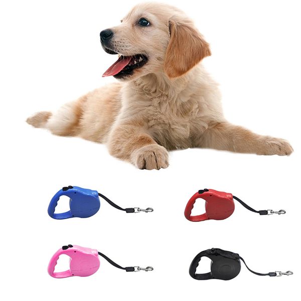 5m dog retractable leash 3m nylon solid pets dogs leash rop automatic retractable walking leads for small dog
5m dog retractable leash 3m nylon solid pets dogs leash rop automatic retractable walking leads for small dog
