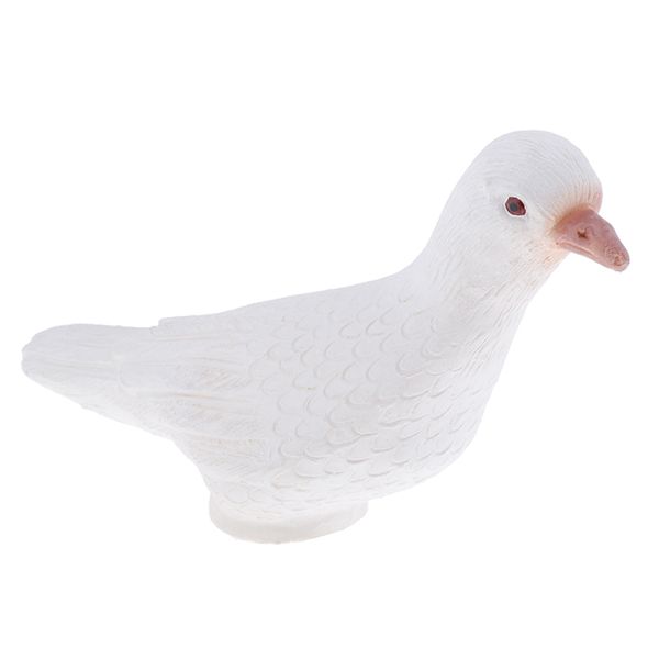 magic simulation pigeons prank toys novelty tricks for beginners kids 4 5 6 7 8 9 10 young magician practice
magic simulation pigeons prank toys novelty tricks for beginners kids 4 5 6 7 8 9 10 young magician practice