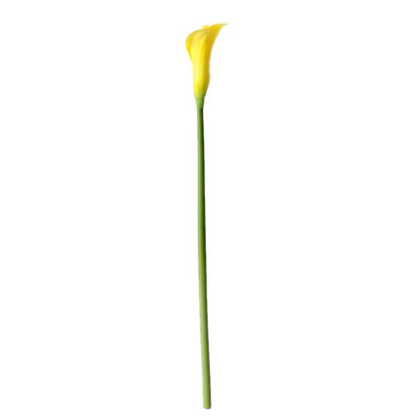 1pc fake calla lily real touch birthday lifelike wedding decoration bouquet party artificial flower plants elegant pu bridal
1pc fake calla lily real touch birthday lifelike wedding decoration bouquet party artificial flower plants elegant pu bridal