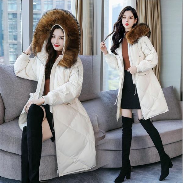 winter new women down coats,raccoon fur hooded ladies down jackets long garments winter coat w7305, Black
winter new women down coats,raccoon fur hooded ladies down jackets long garments winter coat w7305, Black