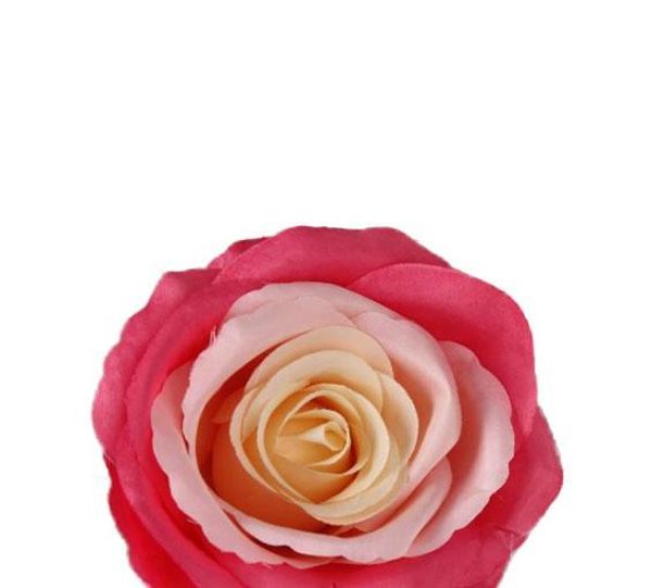 9см искусственный двойной цвета шелковый цветок розы глава украшение аксессуары для diy букет свадебная арка украшения стены
9см искусственный двойной цвета шелковый цветок розы глава украшение аксессуары для diy букет свадебная арка украшения стены